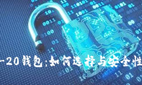 ERC-20钱包：如何选择与安全性分析