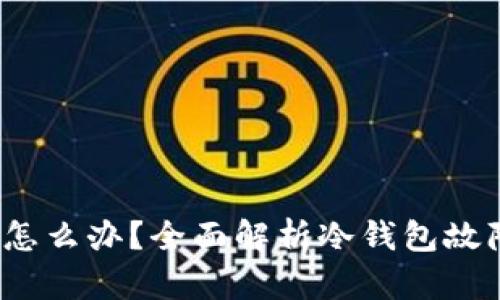  冷钱包黄了怎么办？全面解析冷钱包故障及解决方案