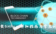 如何下载BHPay：详细指南与