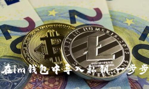如何在im钱包中导入私钥:一步步教程