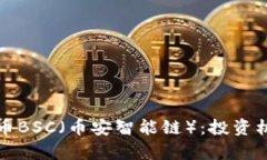 深入解析虚拟币BSC（币安智能链）：投资机会与