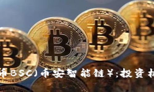 深入解析虚拟币BSC(币安智能链):投资机会与市场前景