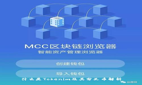 什么是Tokenim及其分叉币解析