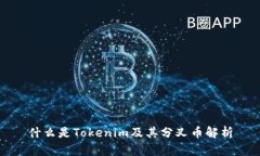 什么是Tokenim及其分叉币解析