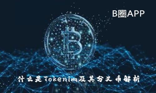 什么是Tokenim及其分叉币解析