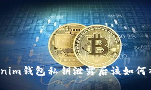 Tokenim钱包私钥泄露后该如何补救？